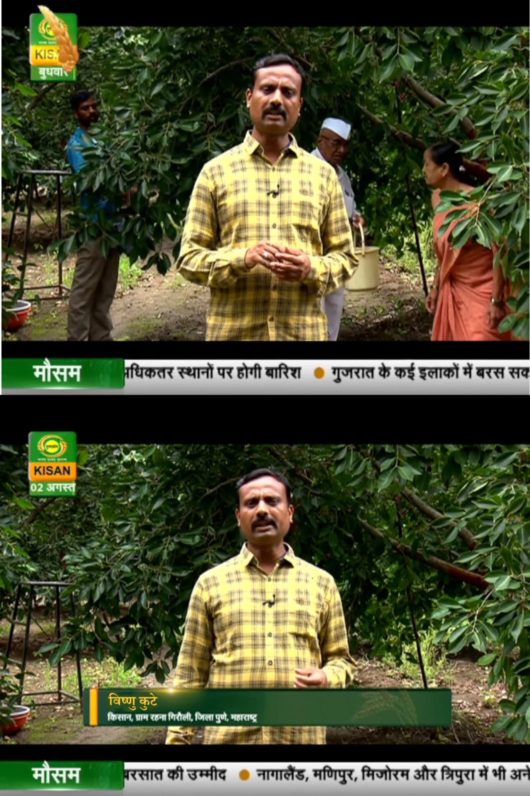 Kute Farm Gallery 10