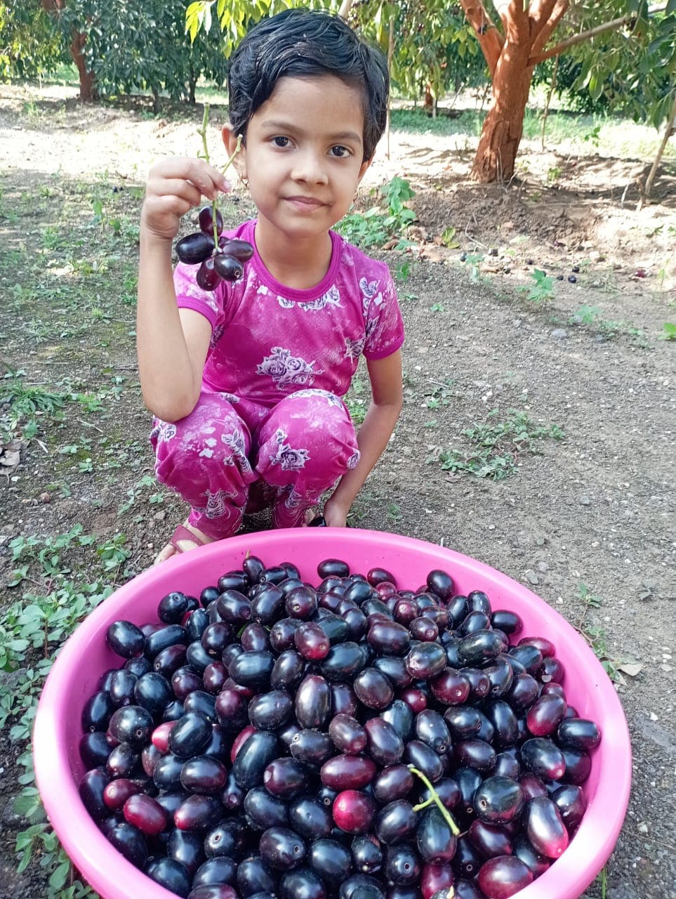 Kute Farm Gallery 11