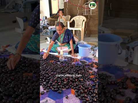 Natural Harvest