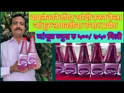 The Story of Kute Farm Jamun
