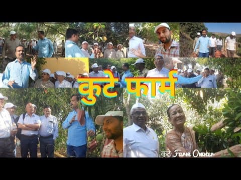 Pure Jamun Story